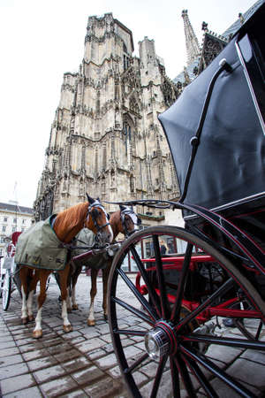 Vienna, Austria, June 26, 2013: horse-drawn carriages near the walls of St. Stephen's Cathedralのeditorial素材