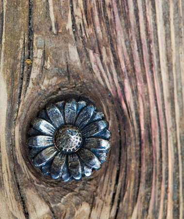 vintage flower button on the aged textured boards of the old tableの写真素材