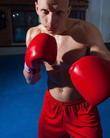 Portrait of a boxer in red gloves and shortsの写真素材