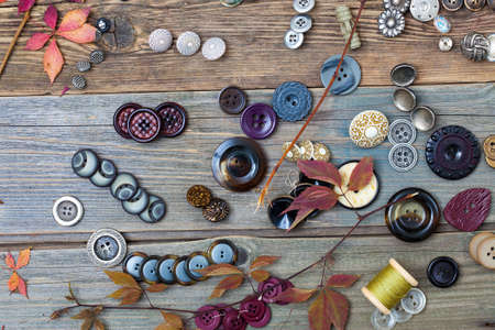 placer of colorful vintage buttons and dried plants on an old wooden surface