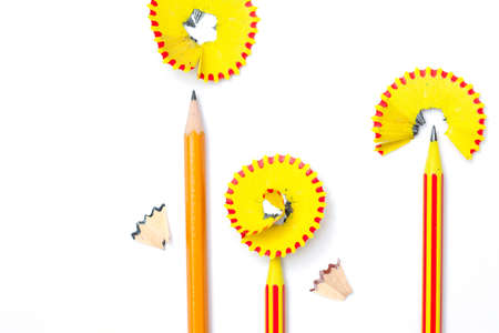 three pencil flowers on a white background. clerical botany