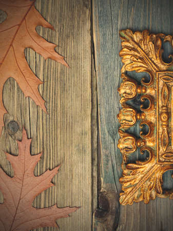 vintage gold frame with copy space and a herbarium on old boards of aged table. retro style filter