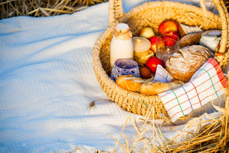 Bread, milk, apples in a basket. Dinner of a farmer in the fieldの写真素材