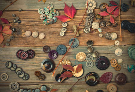 vintage buttons and dried plants on an old wooden surface.