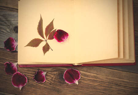 open book with herbarium leaves and petals of geraniums on the page. Still on the old wooden textured boards.の写真素材