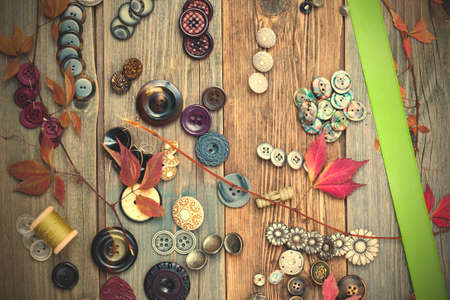 vintage buttons, reel with thread, herbarium and green tape, still life on tailor table.の写真素材