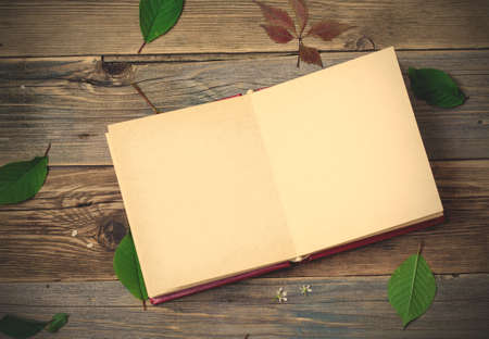 vintage open album on the aged  boards of the ancient table.の写真素材