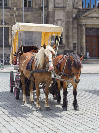 Dresden, Germany-June 7, 2017: Horse drawn cart in the old town of Dresden. Brown coloured horses on cobblestone street.のeditorial素材