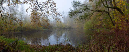 Panorama of lake surrounded by forest trees in misty autumn day. The hog rises above still water.の写真素材