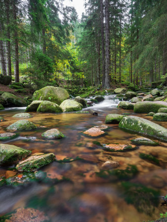 Long exposure of mountain river. Clear and soft surface of water in coppery colors.の写真素材
