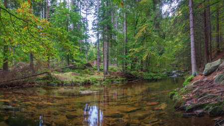 Panoramic view of crystal clean and transparent water of mountain river. A quiet stretch of the Szklarka flowing in Giant Mountains.の写真素材