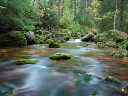 View of calm mountain river in Karkonosze Giant Mountains. Long exposure shot of clear river with surface in coppery and greenish colors.の写真素材