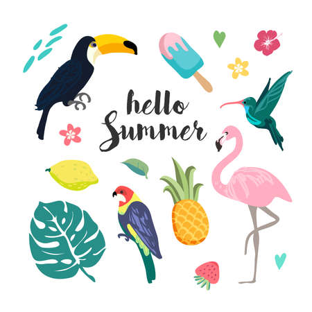 Summer design elements. Set tropical paradise vectorのイラスト素材
