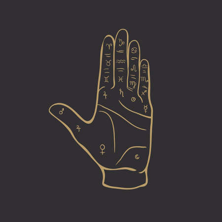Palmistry or chiromancy hand with signs of the planets and zodiac signs black and white hand drawn design isolated vector illustra. Destiny, divination.のイラスト素材