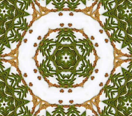 Natural floral kaleidoskopの写真素材