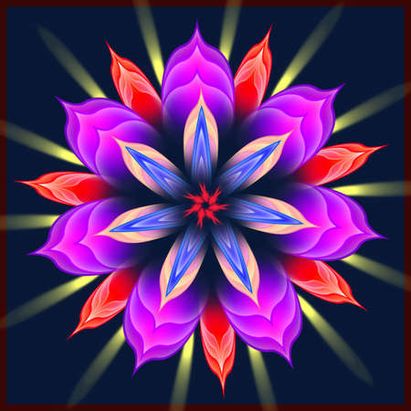 Mandala beauty purple flowerの写真素材