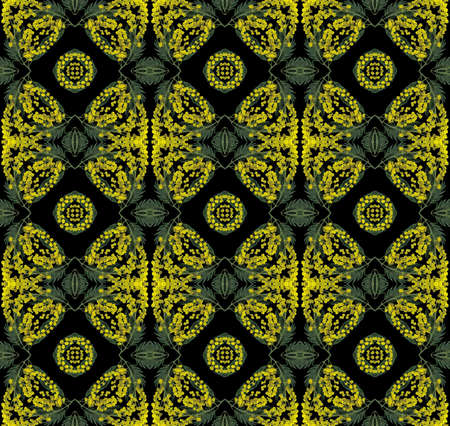 Seamless pattern with red berries Mimosaの写真素材
