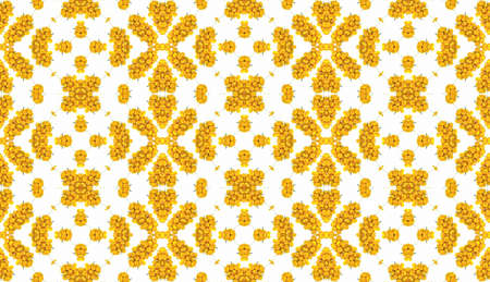 Seamless pattern with  berriesの写真素材