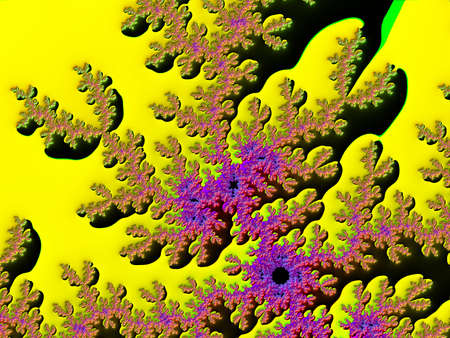 Bright fractal coralの写真素材