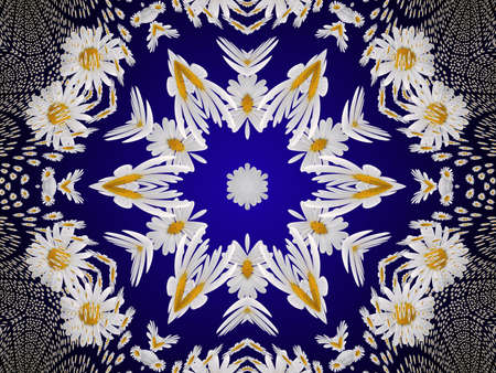 Abstraction background with daisyの写真素材