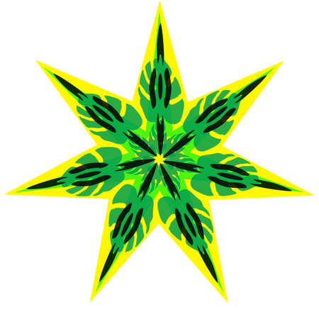 Bright patterned star with green leavesの写真素材