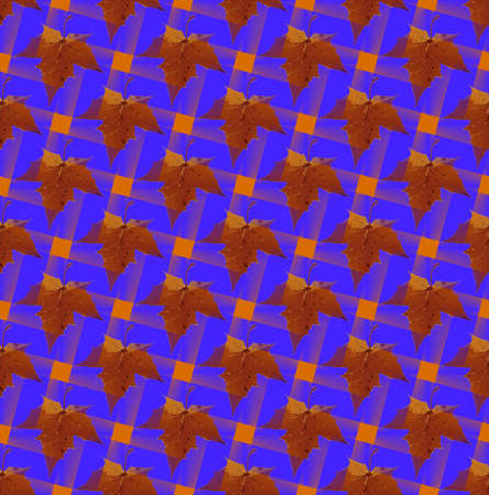 Seamless pattern with a Autumn maple leaves in a translucent colors. The Author - Peshkareva Irinaの写真素材