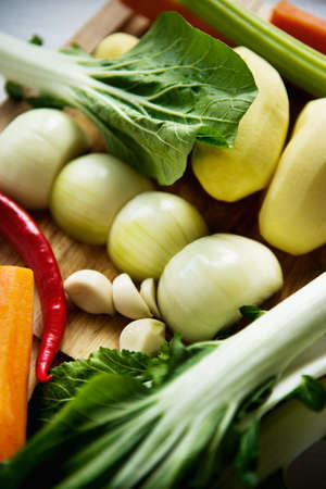 Set for vegetable soup bok choy, carrot, onion, garlic, chili, celery, potatoの写真素材