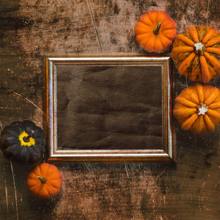 Grungy textured halloween frame with five pumpkinsの写真素材