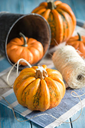 Group of four pumpkins on a blue backgroundの写真素材