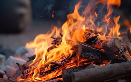 Close-up of burning firewood in campfire. Bonfire backgroundの素材