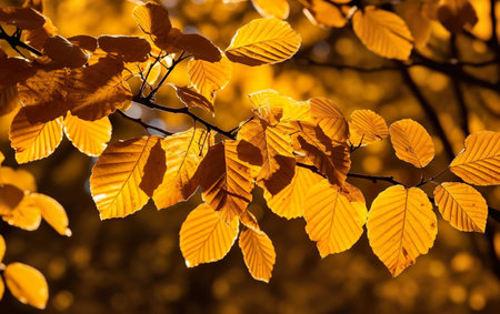 Golden Autumn Foliage. AI, Generative AI.の素材