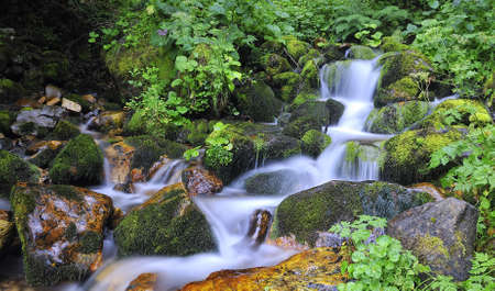 River Silk.