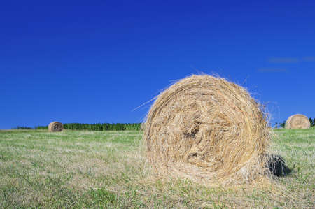 Agriculture.