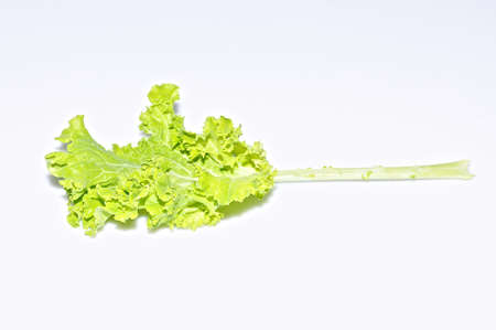 Vegetables.の写真素材