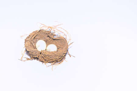 Isolated nest.の写真素材