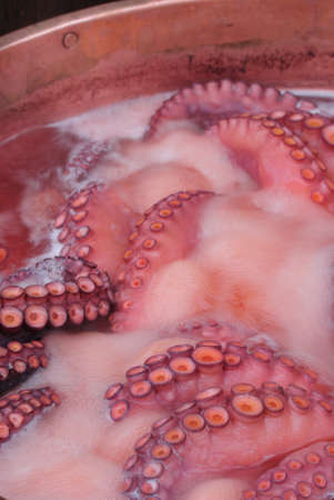  Baked octopus.の写真素材