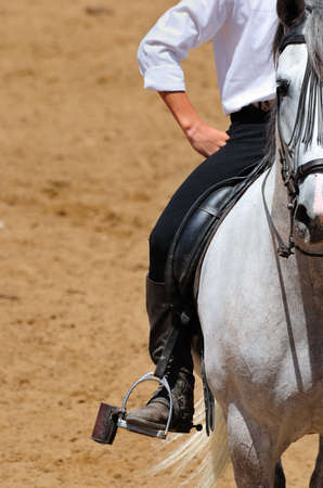 Andalusian horses.のeditorial素材