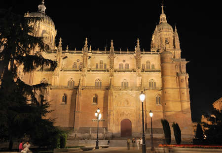 Cathedral of Salamanca, Spain.のeditorial素材