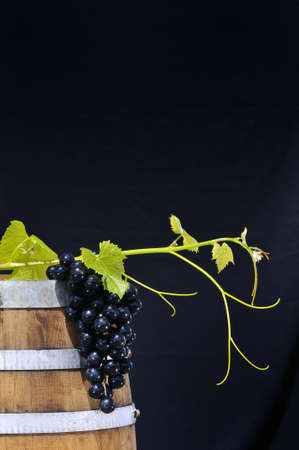 Barrel wine.