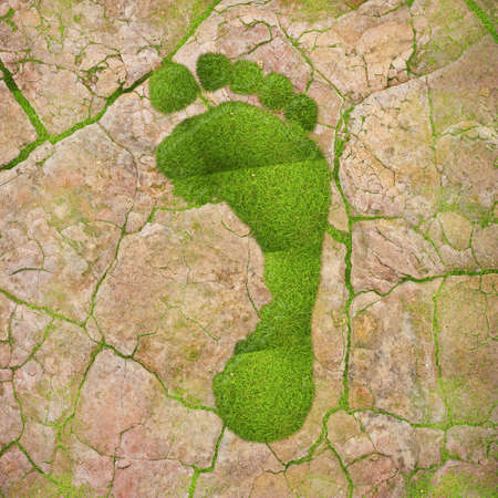 Illustration with a green footprint on dry land の写真素材