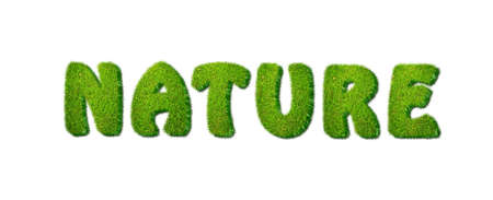 Illustration with a word nature in grass の写真素材