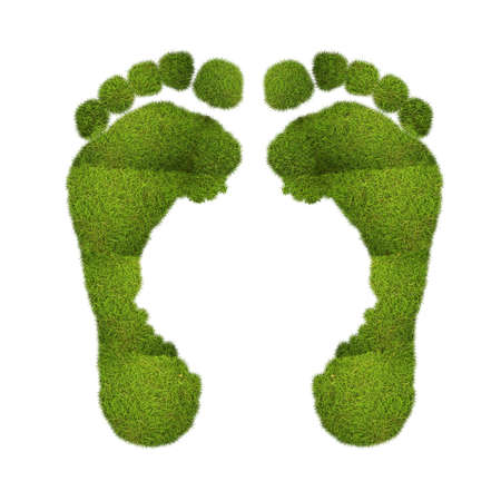 Illustration with a footprints grass on a white background の写真素材