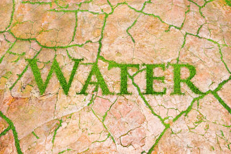 Illustration with a grass water on dry land 