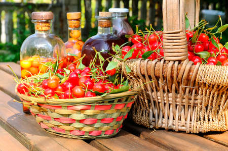 Baskets with cherries to make cherry liqueur の写真素材