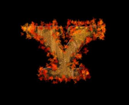 Illustration with a letter Y wooden burning の写真素材