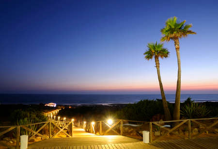 Sunset with palms in Barrosa beach,Cadiz, Spain の写真素材