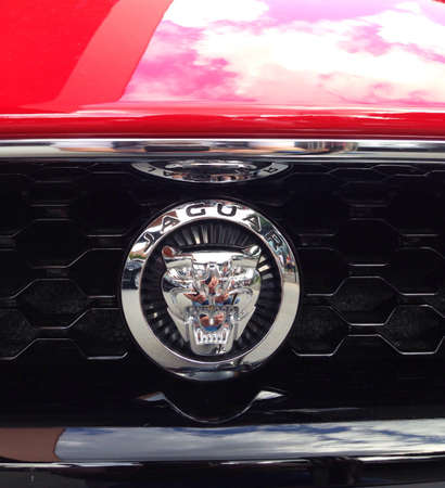 Jaguar car の素材