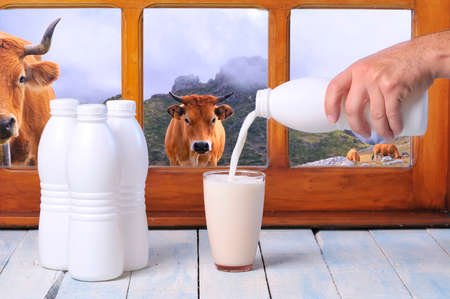 Glass of fresh milk on wooden table in the kitchen.の写真素材