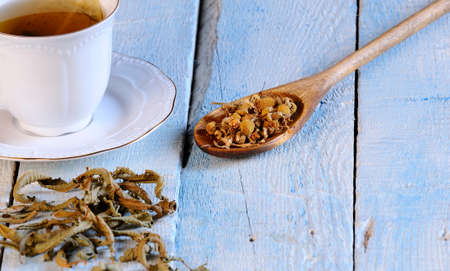 Cup of chamomile and herbs on wooden table in the kitchen.の写真素材