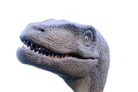 Dinosaur head in a Jurassic dinosaur museumの写真素材